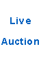 Live Auction Icon